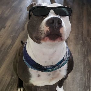 Meet your Posher, Brandon